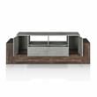 Furniture of America Abdi Wood Multi-Storage TV Stand in Oak and Concrete Gray