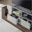 Furniture of America Abdi Wood Multi-Storage TV Stand in Oak and Concrete Gray