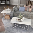 Furniture of America Mergo Contemporary Metal 2-Piece Coffee Table Set in White