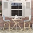 Furniture of America Adino Aluminum Patio Bar Chair in Blue (Set of 2)