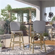 Furniture of America Adino Aluminum Patio Bar Chair in Gray (Set of 2)