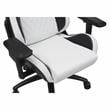 Furniture of America Valay 2-Piece Metal Gaming Desk and White Gaming Chair Set