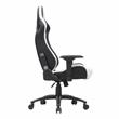 Furniture of America Valay 2-Piece Metal Gaming Desk and White Gaming Chair Set