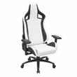 Furniture of America Valay 2-Piece Metal Gaming Desk and White Gaming Chair Set
