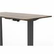 Furniture of America Tilah Metal Height Adjustable Office Desk in Dark Brown