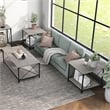Furniture of America Clarissa Metal 3-Piece Coffee Table Set in Gray