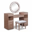 Furniture of America Sparke Wood 3-Piece Vanity Set with LED in Pink