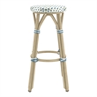Furniture of America Binde Aluminum 30-inch Patio Barstool in Blue (Set of 2)