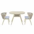 Furniture of America Morah Aluminum 3-Piece Dining Table Set in Natural Tone