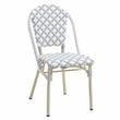 Furniture of America Misea Transitional Aluminum Patio Chair in Gray (Set of 2)