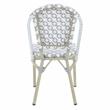 Furniture of America Misea Transitional Aluminum Patio Chair in Gray (Set of 2)