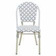 Furniture of America Misea Transitional Aluminum Patio Chair in Gray (Set of 2)