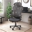 Furniture of America Domie Metal and Mesh Adjustable Office Chair in Black