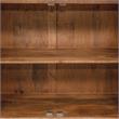 Furniture of America Altor Rustic Solid Wood 2-Cabinet Buffet in Natural Tone