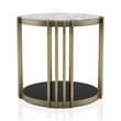 Furniture of America Kual Contemporary Metal 1-Shelf End Table in Brass