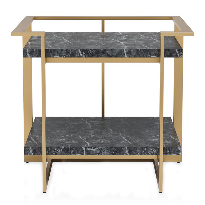 Furniture of America Meliman Contemporary Metal 1-Shelf End Table in Gold