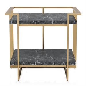 Furniture of America Meliman Contemporary Metal 1-Shelf End Table in Gold