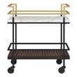 Furniture of America Crame Transitional Metal 2-Tier Serving Cart in Multi-Color