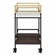 Furniture of America Crame Transitional Metal 2-Tier Serving Cart in Multi-Color