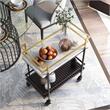 Furniture of America Crame Transitional Metal 2-Tier Serving Cart in Multi-Color