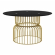 Furniture of America Meza 5-Piece Metal Dining Table Set in Gold and White