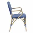 Furniture of America Hamner French Aluminum Patio Armchair in Blue (Set of 2)