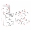 Furniture of America Lita Contemporary Wood Vanity Chest with Mirror in Black