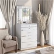 Furniture of America Lita Contemporary Wood Vanity Chest with Mirror in White