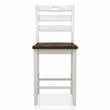 Furniture of America Elda Wood Counter Height Chair in Sea White (Set of 2)
