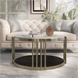 Furniture of America Kual Contemporary Metal 1-Shelf Coffee Table in Brass