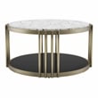 Furniture of America Kual Contemporary Metal 1-Shelf Coffee Table in Brass