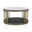 Furniture of America Kual Contemporary Metal 1-Shelf Coffee Table in Brass
