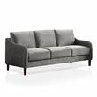Furniture of America Derra Contemporary Fabric Upholstered Sofa in Gray