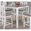 Furniture of America Zinia Transitional Wood 5-Piece Counter Dining Set in White