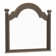 Furniture of America Charo Traditional Wood Framed Mirror in Gray