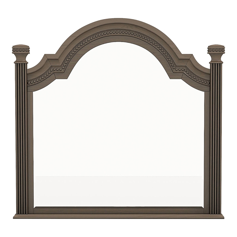 Furniture of America Charo Traditional Wood Framed Mirror in Gray