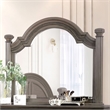 Furniture of America Charo Traditional Wood Framed Mirror in Gray