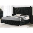 Furniture of America Sakan Transitional Fabric Upholstered Queen Bed in Black