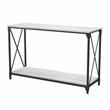 Furniture of America Clarissa Industrial Metal 1-Shelf Console Table in Black