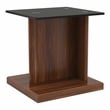 Furniture of America Thame Contemporary Glass Top End Table in Dark Walnut