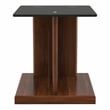 Furniture of America Thame Contemporary Glass Top End Table in Dark Walnut