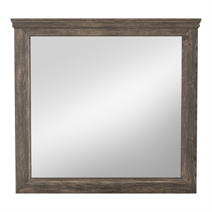 Furniture of America Gafin Transitional Solid Wood Framed Mirror in Gray