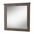 Furniture of America Gafin Transitional Solid Wood Framed Mirror in Gray