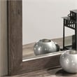 Furniture of America Gafin Transitional Solid Wood Framed Mirror in Gray
