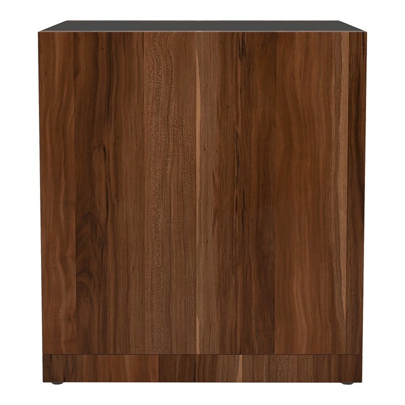 Furniture of America Trice Contemporary Wood 1-Shelf End Table in Walnut