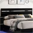 Furniture of America Malva Solid Wood Eastern King Bed with LED Light in Black