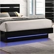 Furniture of America Malva Solid Wood Eastern King Bed with LED Light in Black