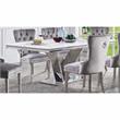 Furniture of America Rosa Glam Metal 5-Piece Dining Table Set in Gray