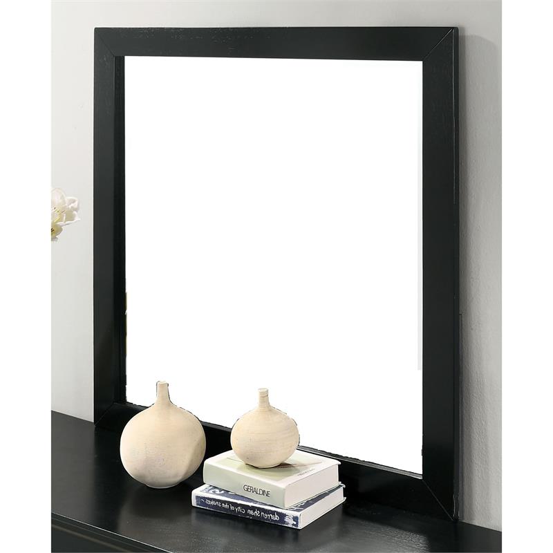Furniture of America Jussy Transitional Solid Wood Framed Mirror in Black