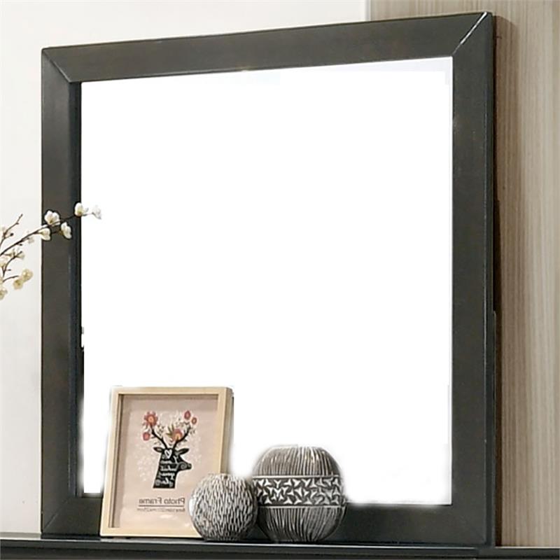 Furniture of America Jussy Transitional Solid Wood Framed Mirror in Gray